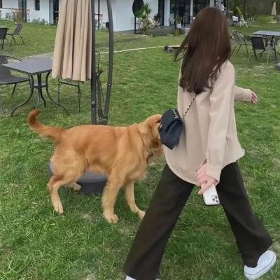不确定的寓意：新三只小猪